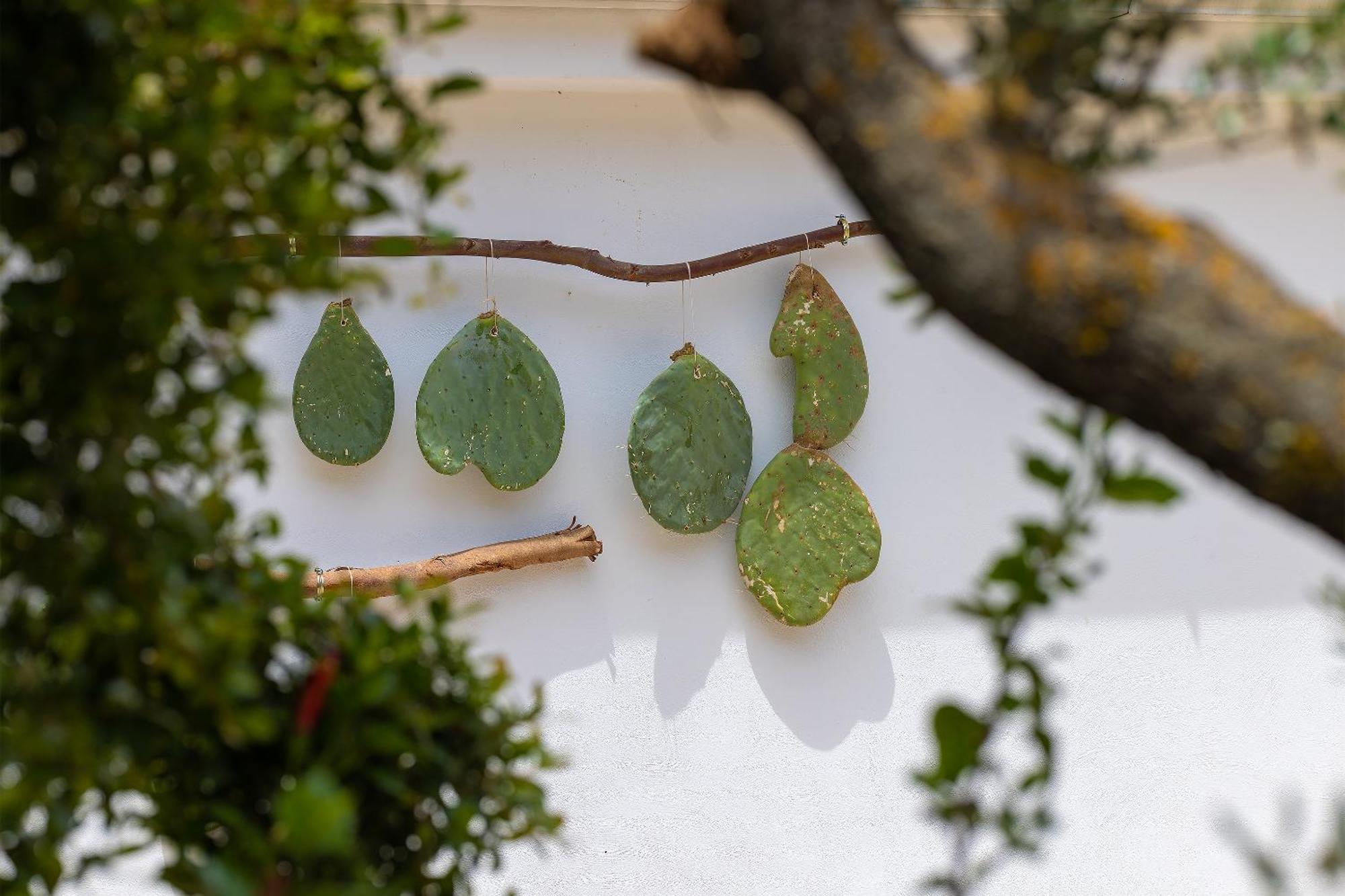 Hotel Masseria Fontanelle ウジェント エクステリア 写真